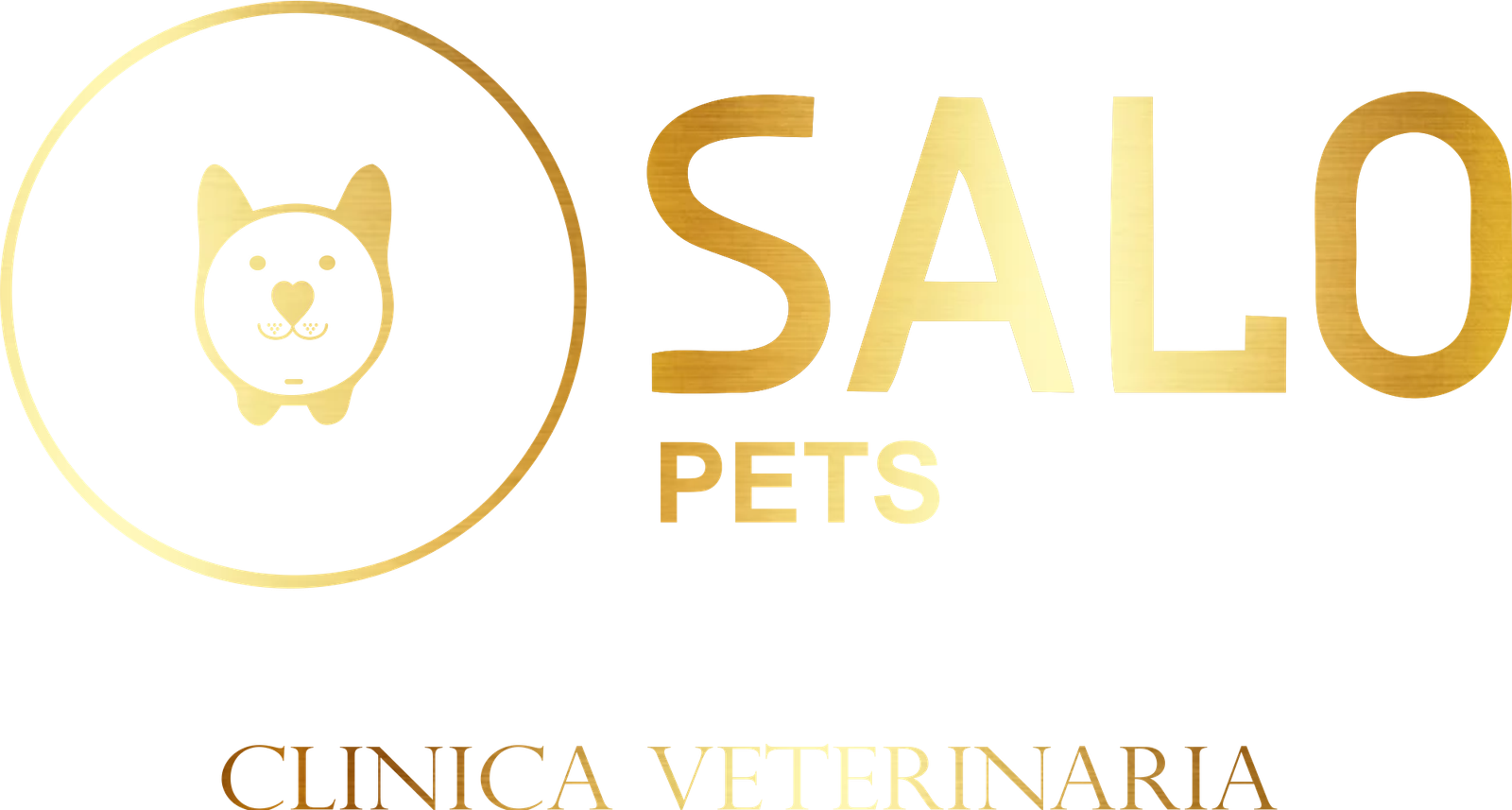 veterinaria a domicilio salo pets