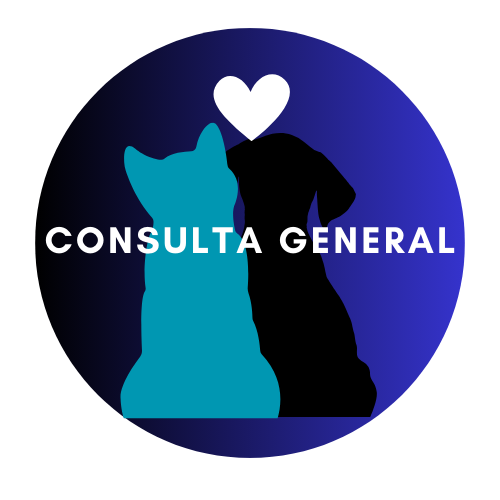 consulta general perros y gatos a domicilio en neiva