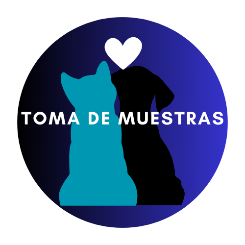 toma de muestras para perros y gatos a domicilio en neiva