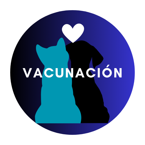 vacunas para perros y gatos a domicilio en neiva